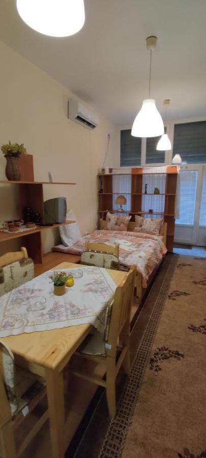 Comfortable And Cosy Studio Near Ndk Sofia Zewnętrze zdjęcie